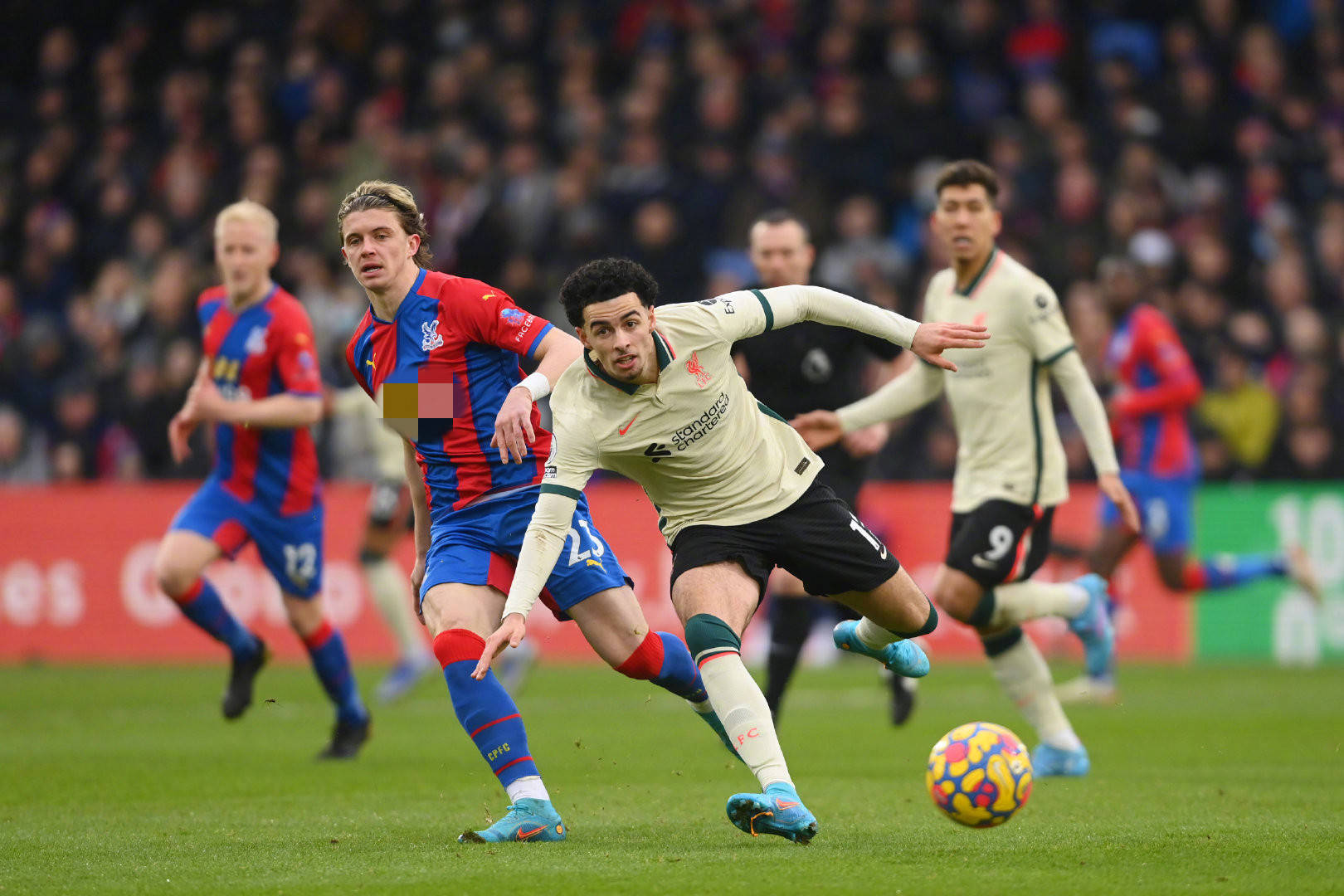 合适的球员 合适的球员